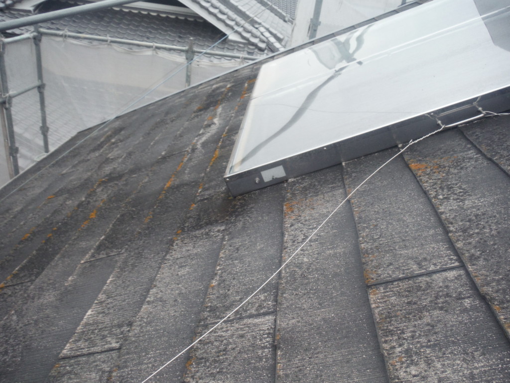 20150110 (1)