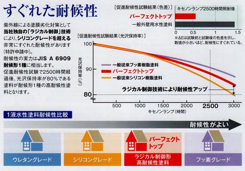 パーフェクトトップ (1).jpeg